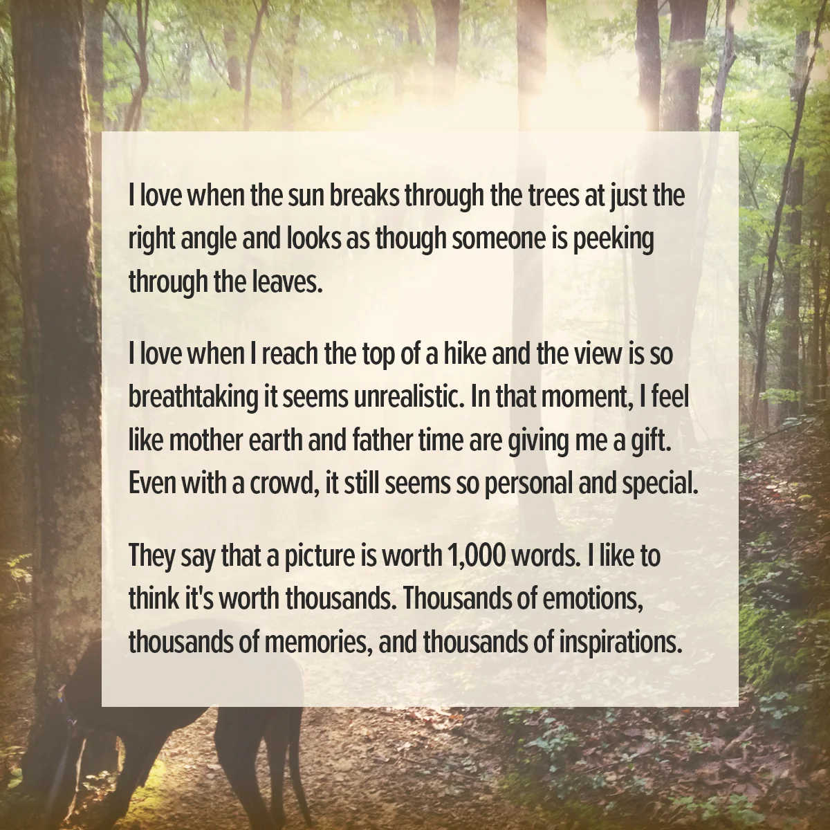 Photography page intro summary.jpg