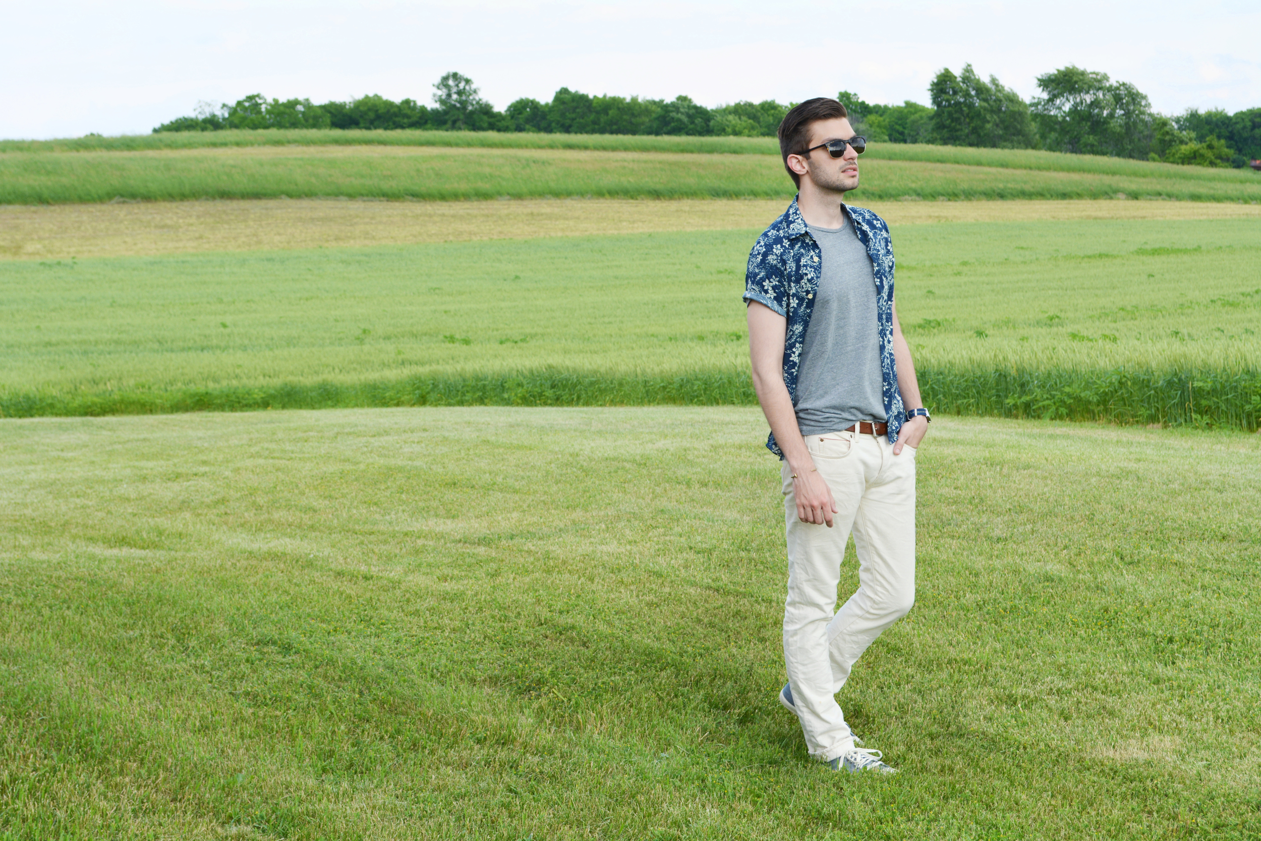 Wheat Field