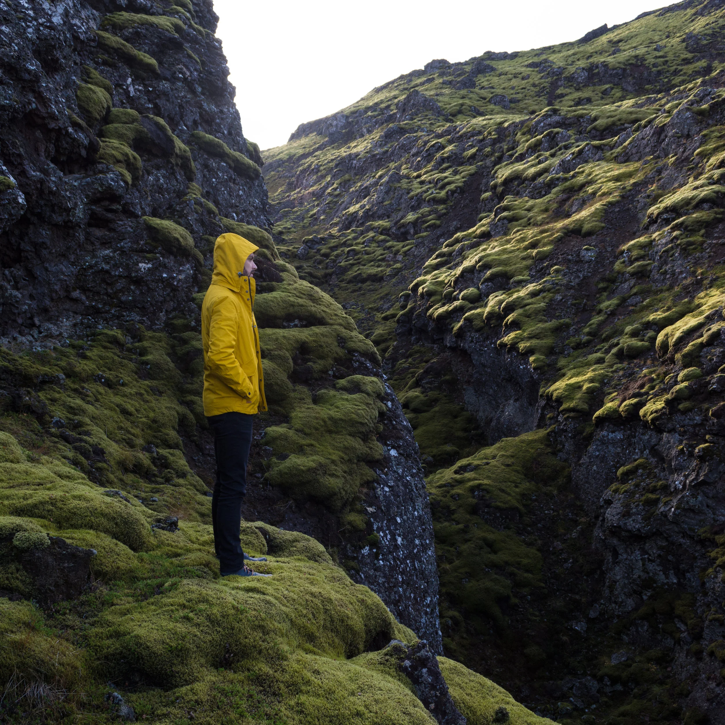 How to Plan an Instagram Worthy Trip to Iceland
