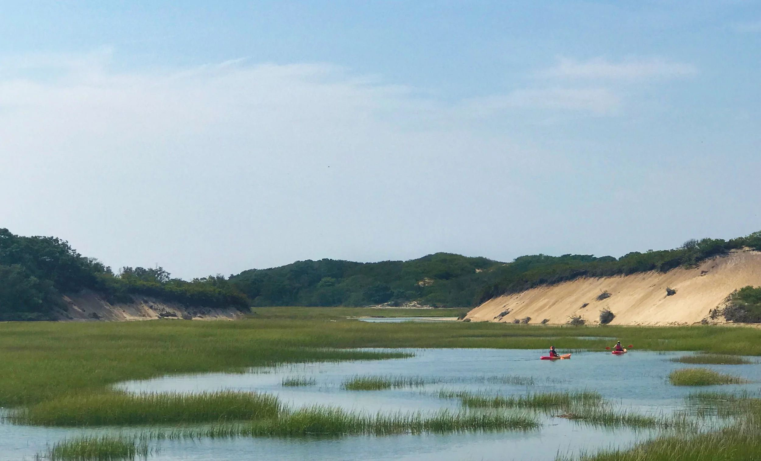 Otter Expedition: Provincetown | AWOL | Lark Hotels