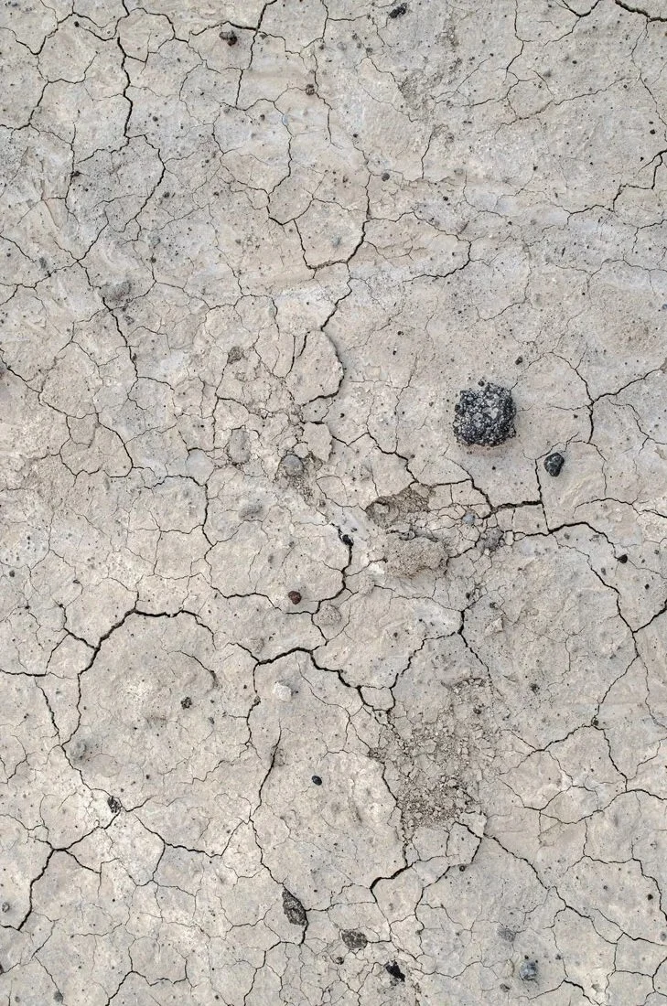 Therapy for anxiety, depression, and life transitions