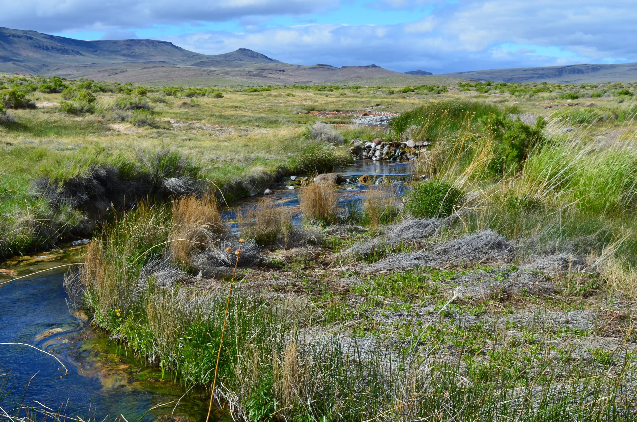 Life coaching for adults navigating transitions