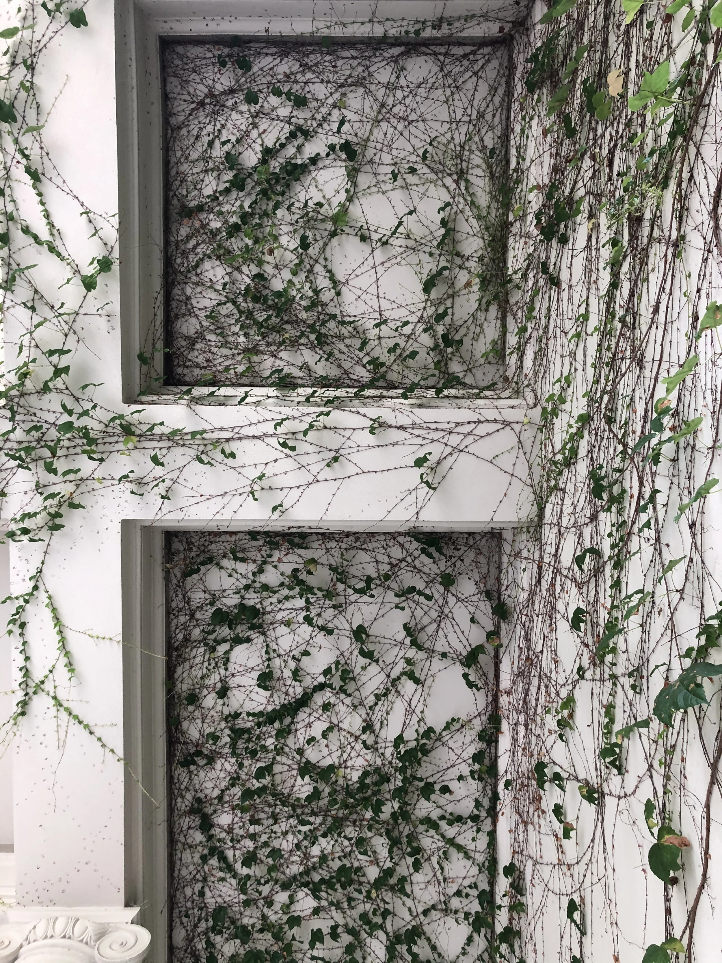 Trauma-informed, mindfulness-based therapy approach