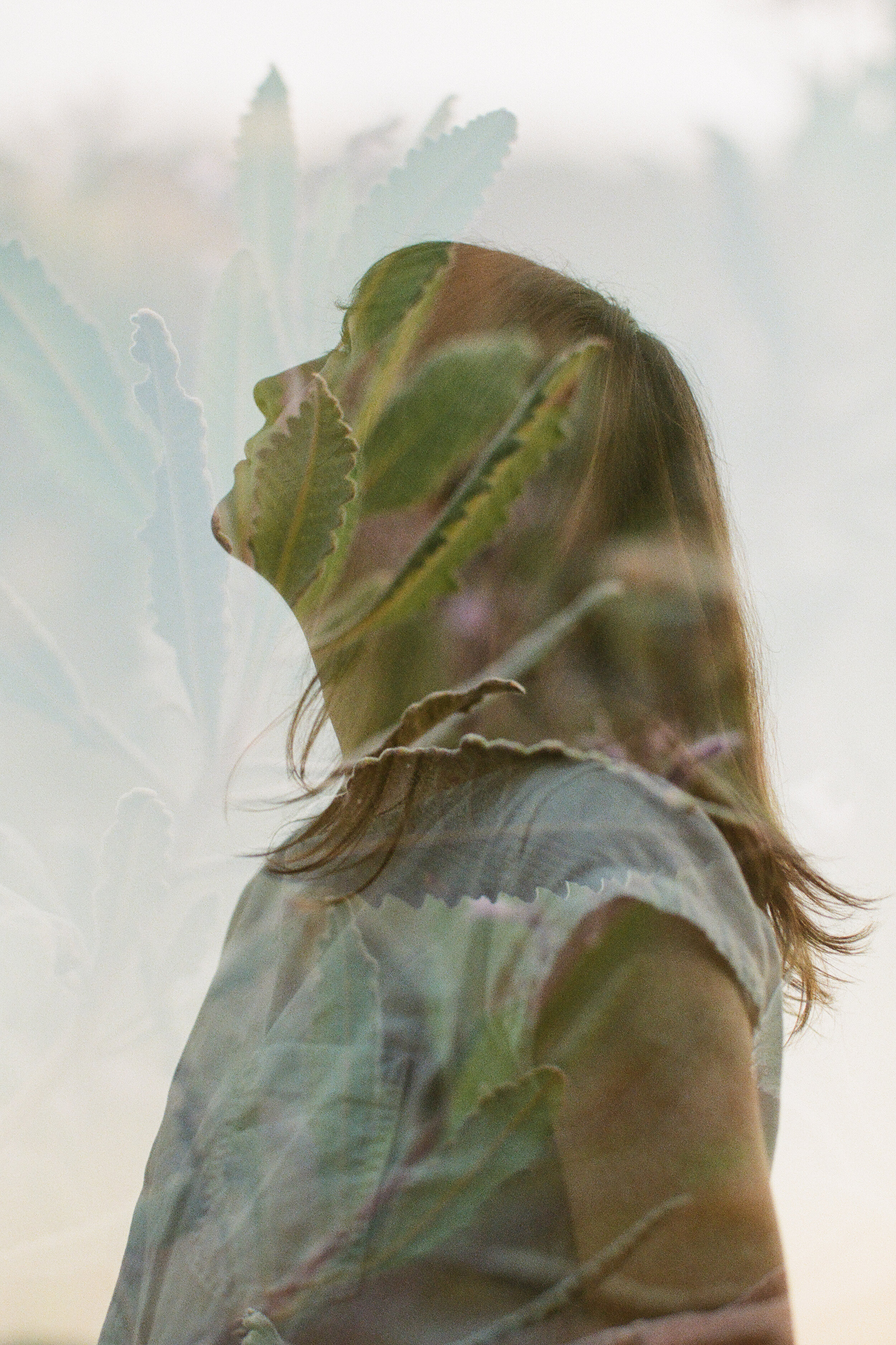 Life Coaching Package