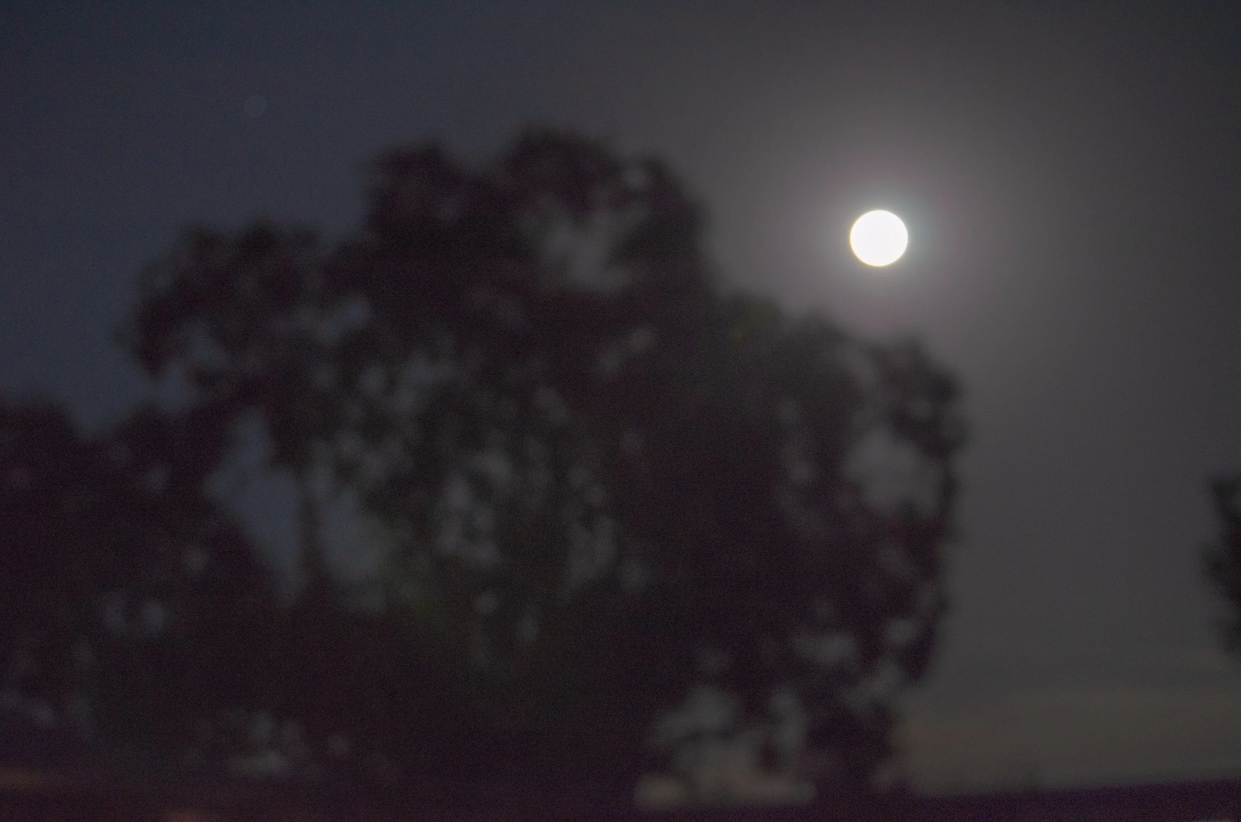 Full Moon Ritual- Letting Go