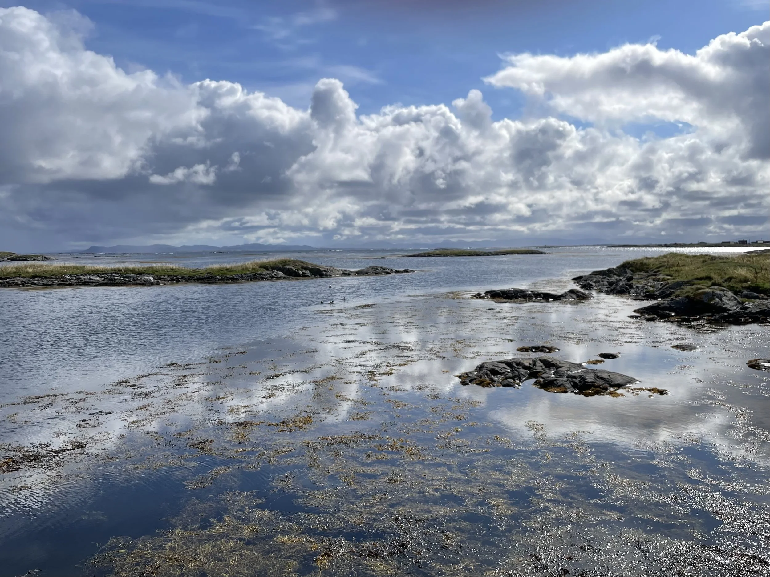 Schedule a consultation with a California psychotherapist via telehealth