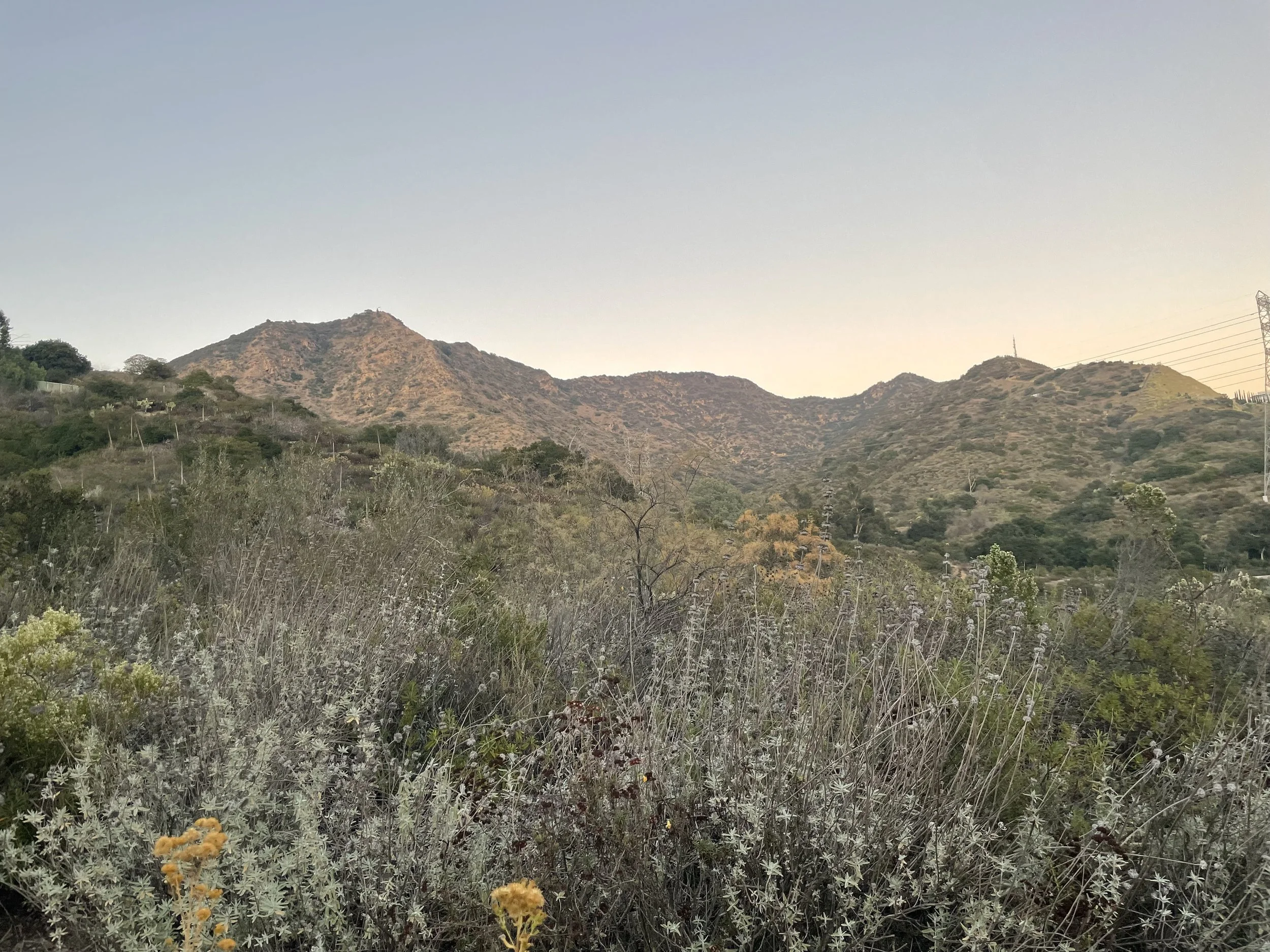 Corporate mindfulness session facilitated in a professional workplace setting