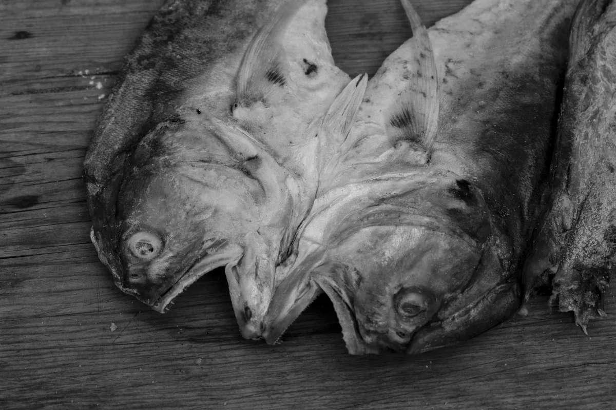 Ovolajel xchi'uk choy / Siembra y pescado / Sowing and fish
