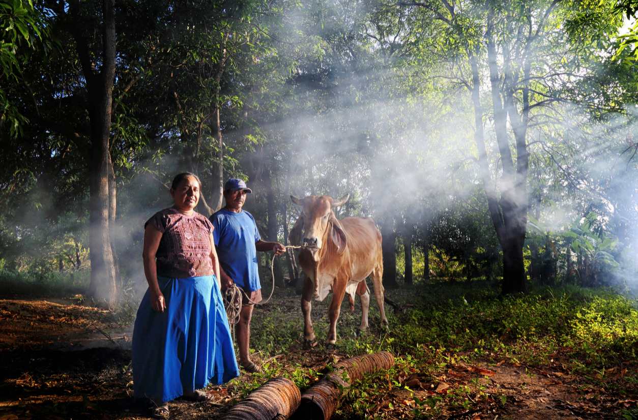 Esta foto es parte del portafolio "El Campo Zapoteca: Narrativa Visual sobre la Tierra del Sur"