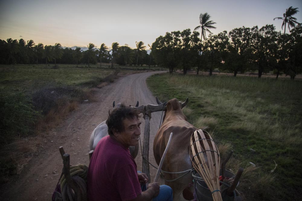  Por los terrenos de San Blas Atempa. Día de siembra con CHICO - RITO 