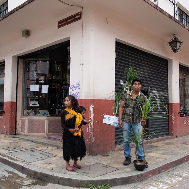 Ciudadan&iacute;a en las calles durante la fase 3 de alto contagio por #covıd19 en San Crist&oacute;bal de Las Casas, Chiapas.Mex..#photojournalism #documetaryphotography #coronavirus #chiapas #mexico🇲🇽
