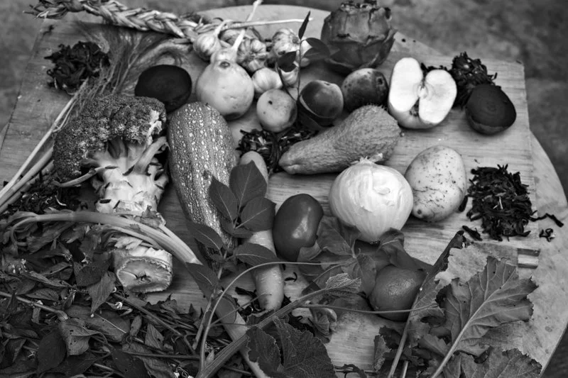BL_MSG_Alimentación_6.jpg