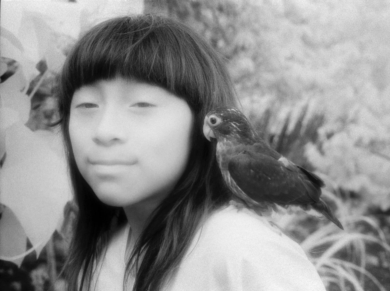  Niño Lacandón y su Perico 