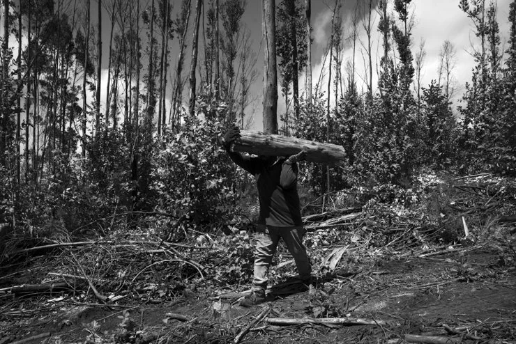 Mapuche0004-2.jpg