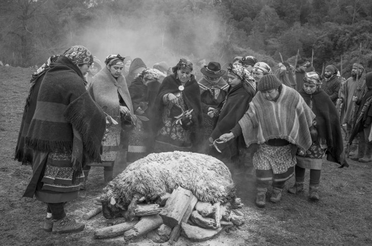 Mapuche0010.jpg