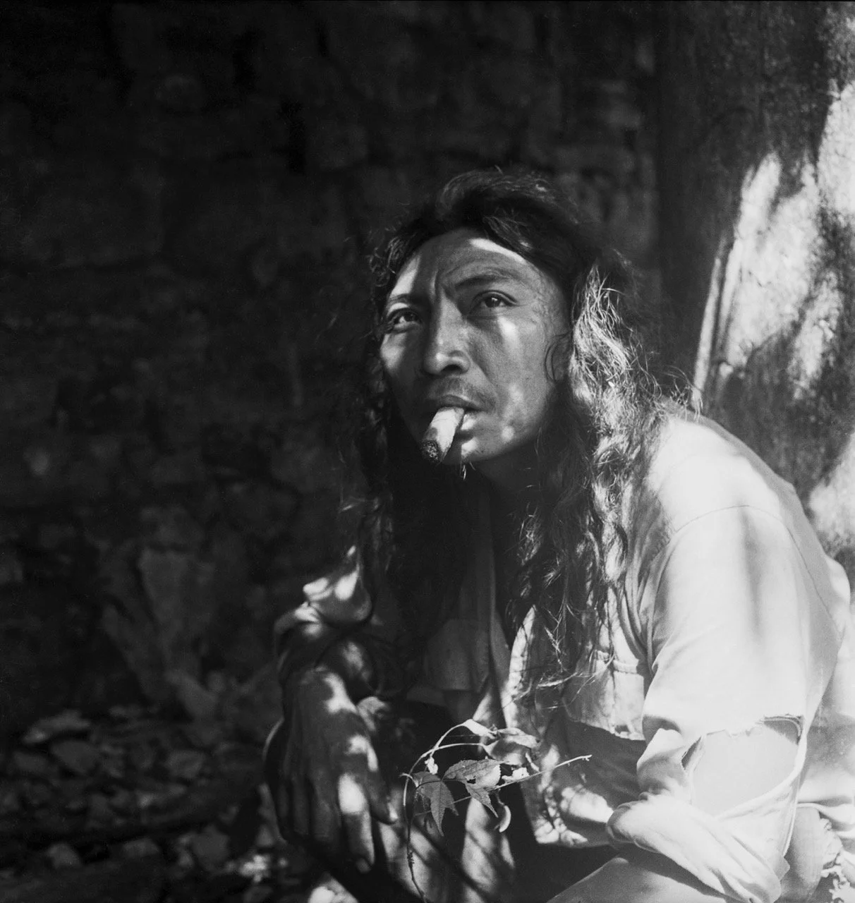 BL_NaBolom_GDB_003_834-Edit en tamaño grande.jpeg