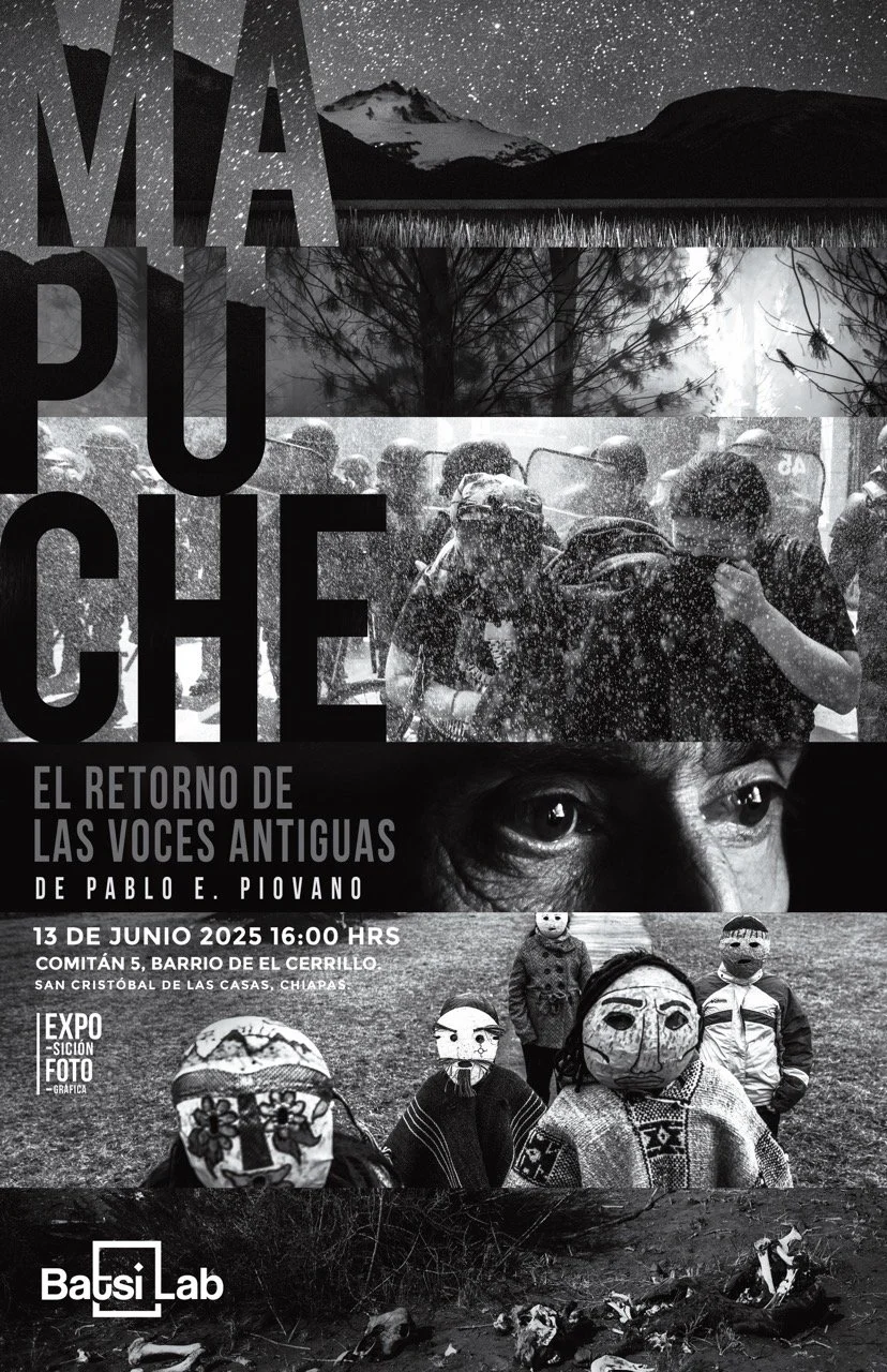 mapuche copia en tamaño grande.jpeg