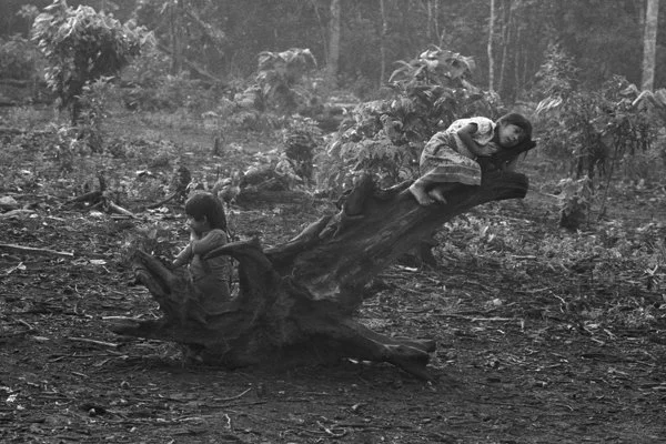 latidos de la selva_011_JAR.jpg