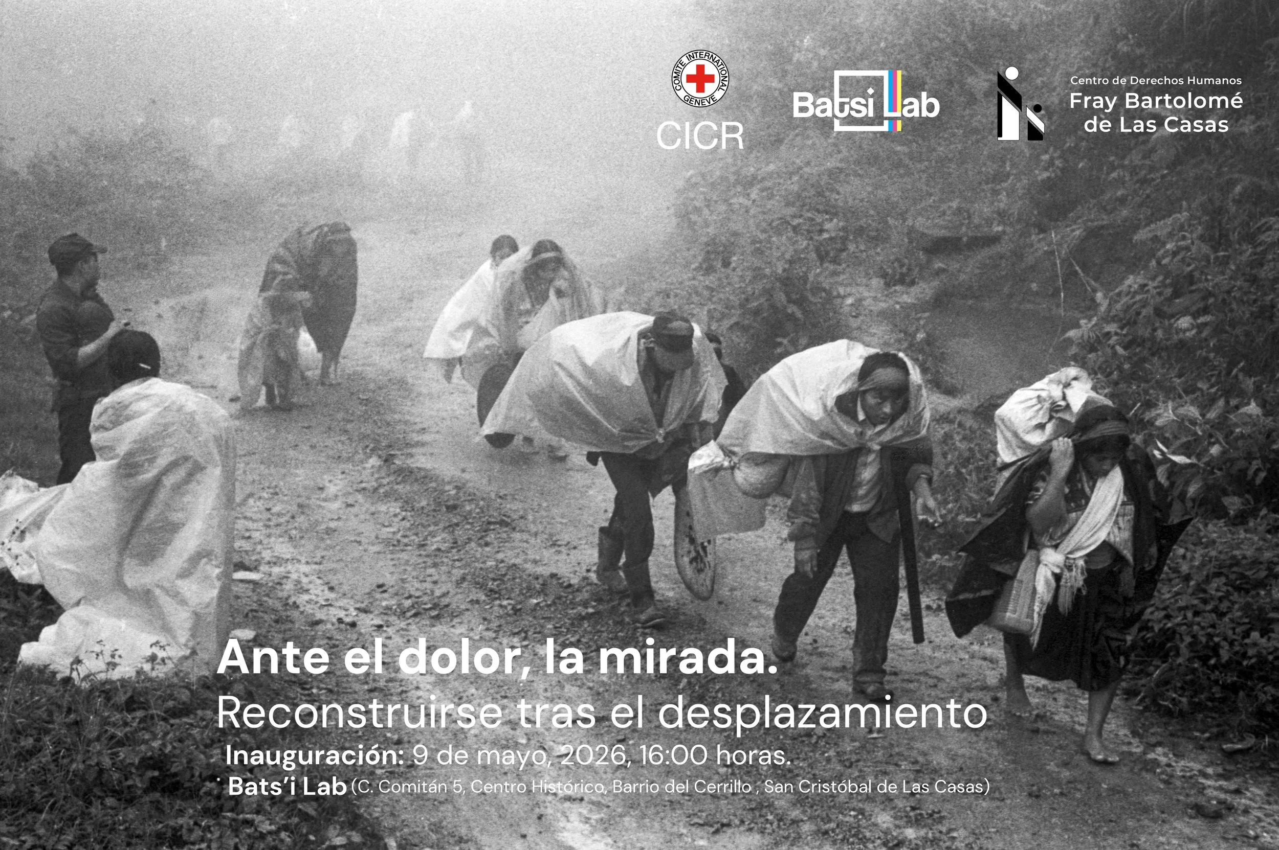 Bats'i Lab, San Cristobal de las casas
