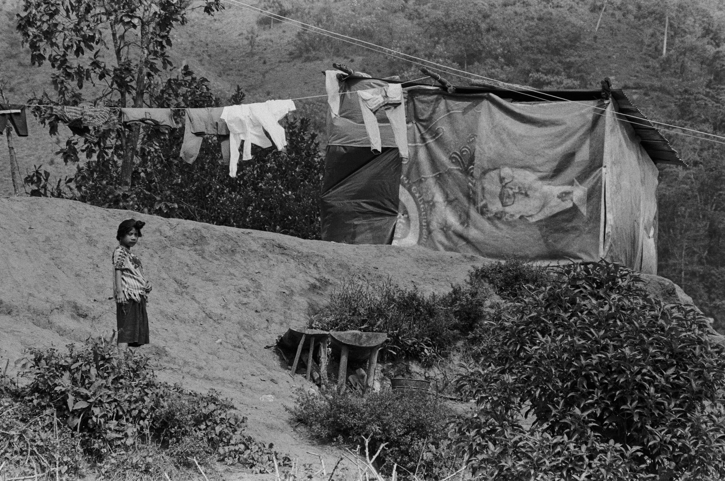   Rosaura Pozos “  Campamento de desplazados”   (Polhó, Chiapas. 2000) 