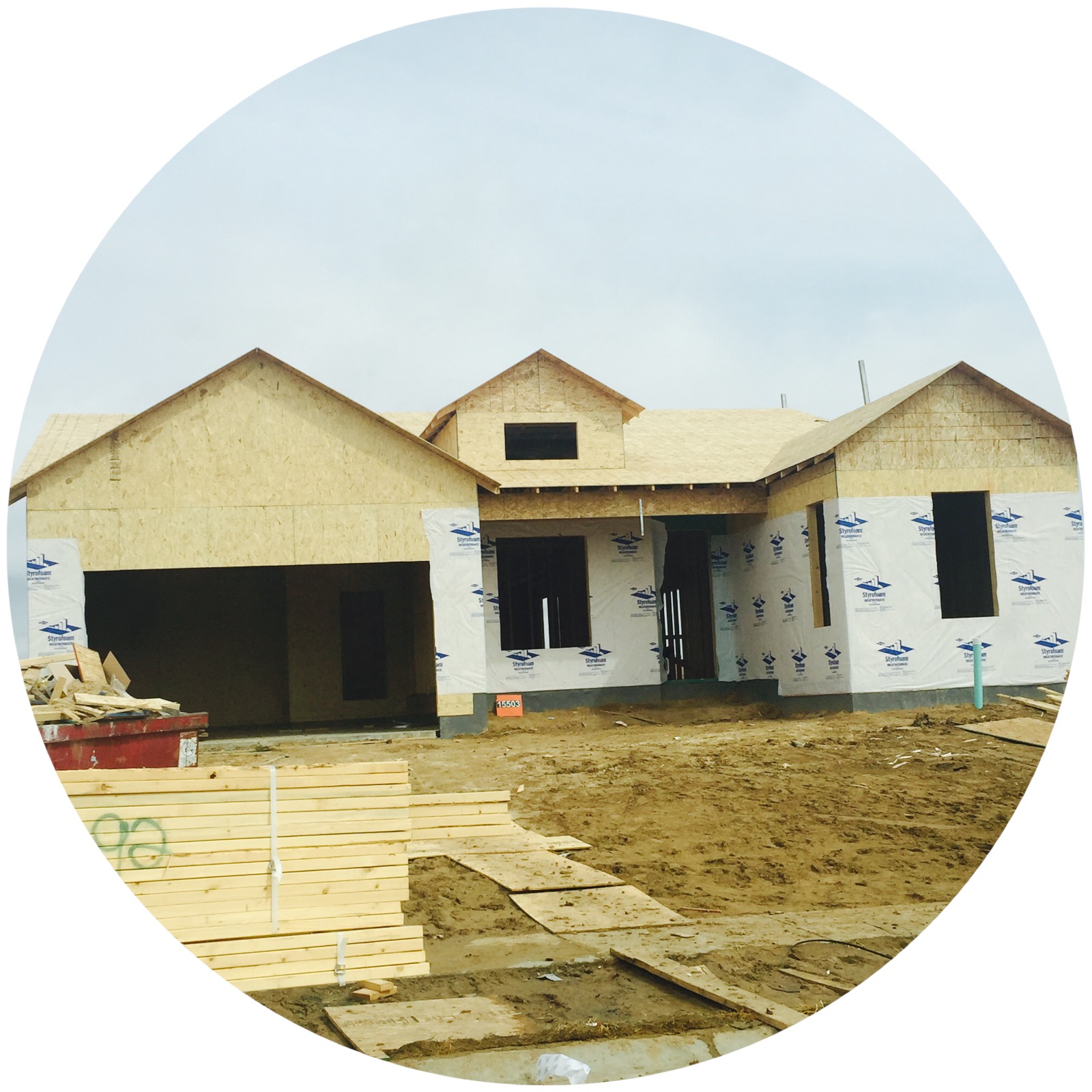 15503 quince - before.JPG