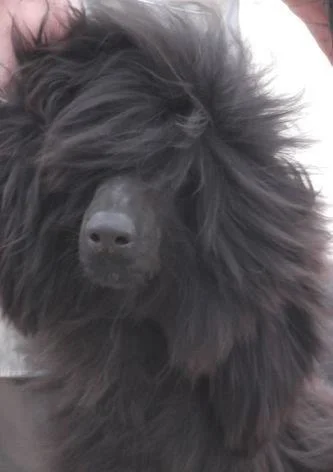 Takes a Licking and Keeps on Ticking!