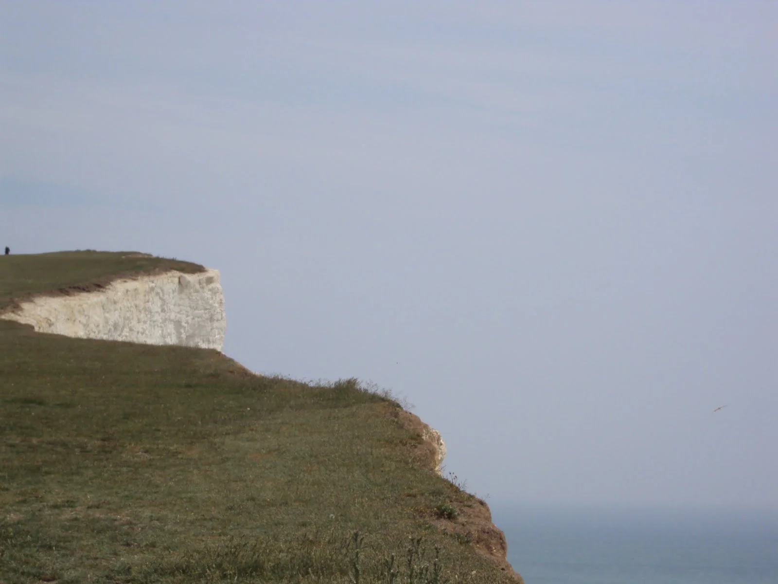 Consensus on Establishing Calibration Endpoint for Oral Appliance Therapy