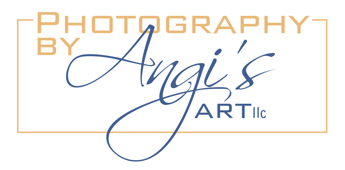 Angi&#39;s Art llc - Kansas City Photographer