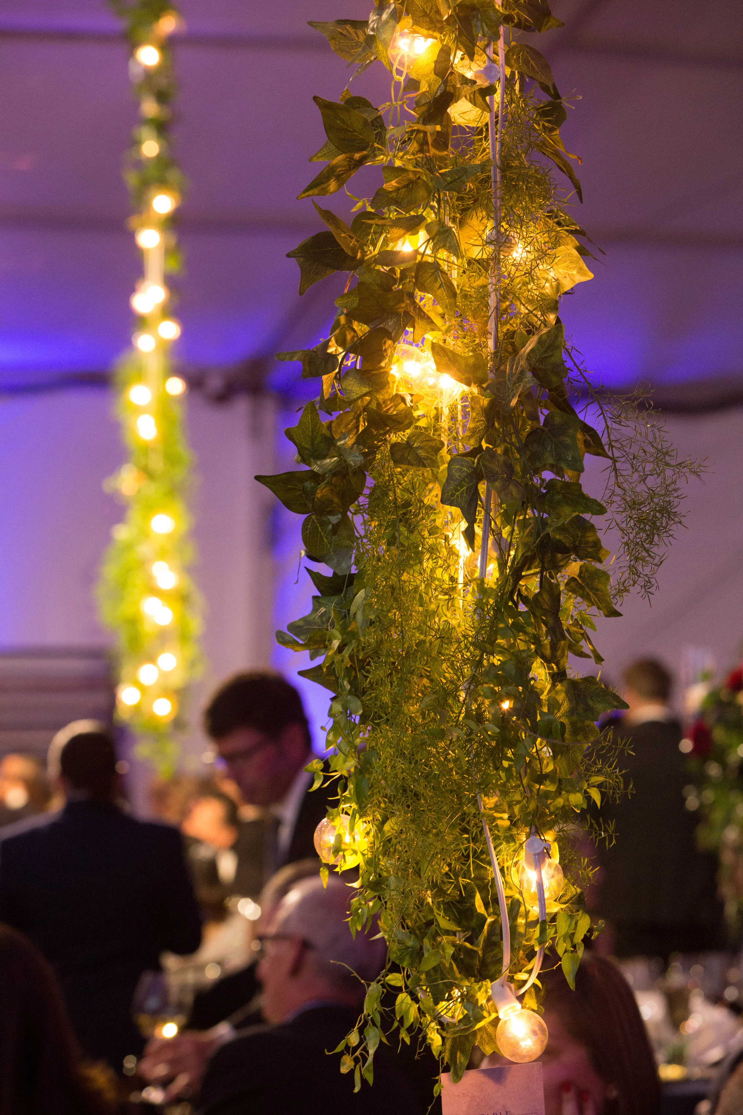 3E2A5695-Vegas Golden Knights Foundation Charity Ball-STEVEN JOSEPH PHOTOGRAPHY.jpg