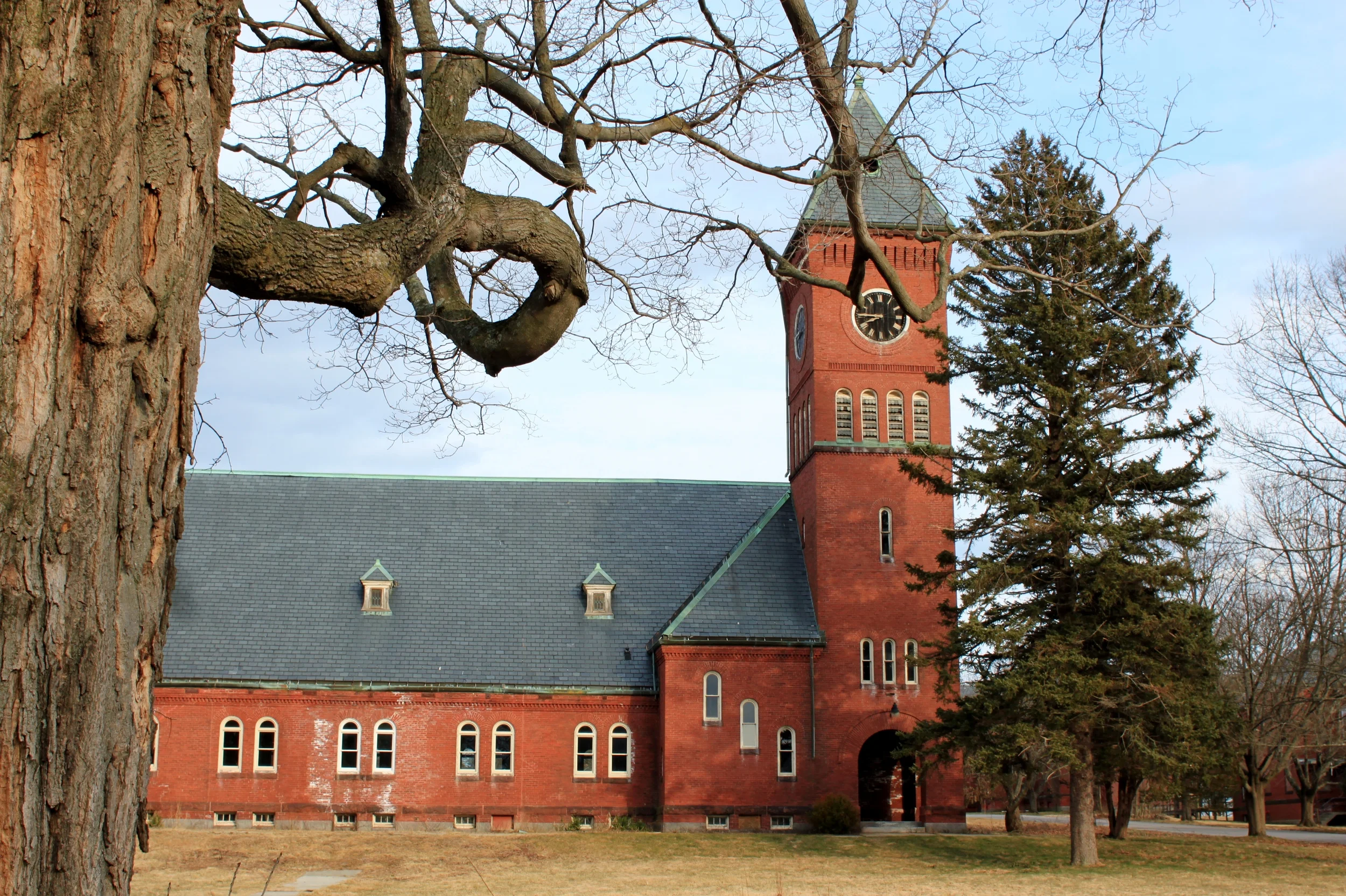 medfield state hospital 176