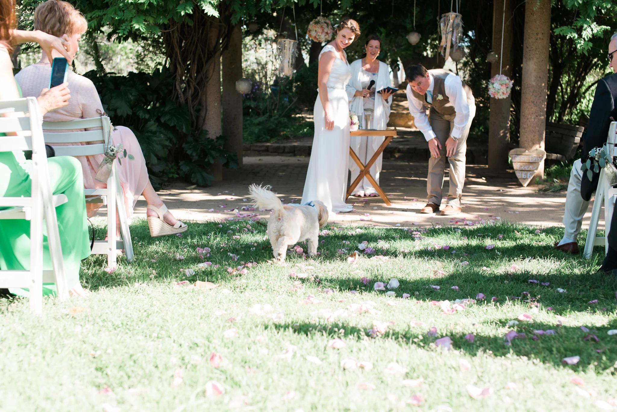 SB small lawn (6 of 20).jpg