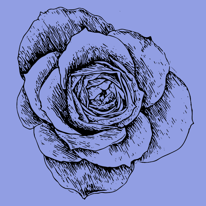 Keeping the Magic Alive