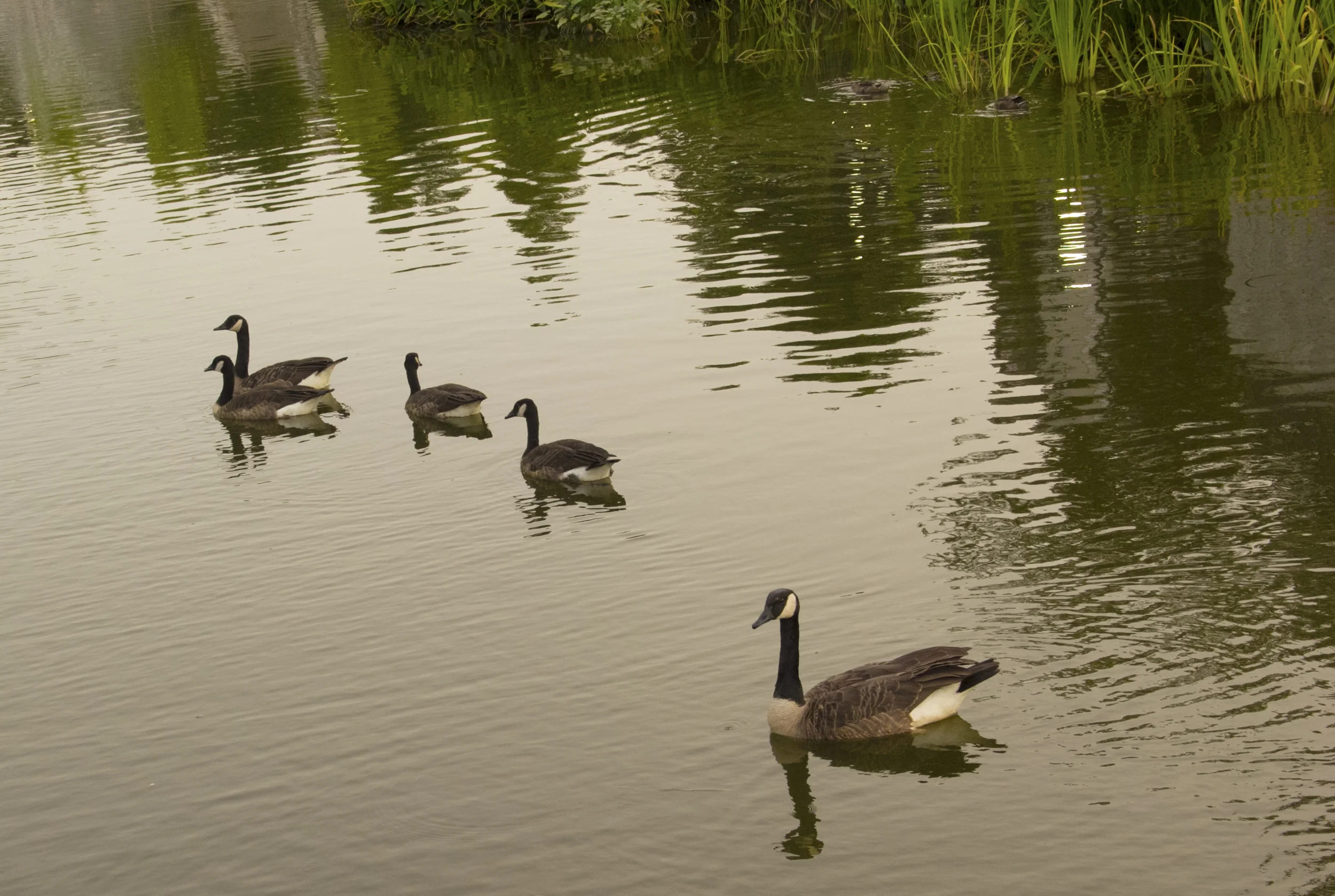 Easing the Discomfort of Social Anxiety