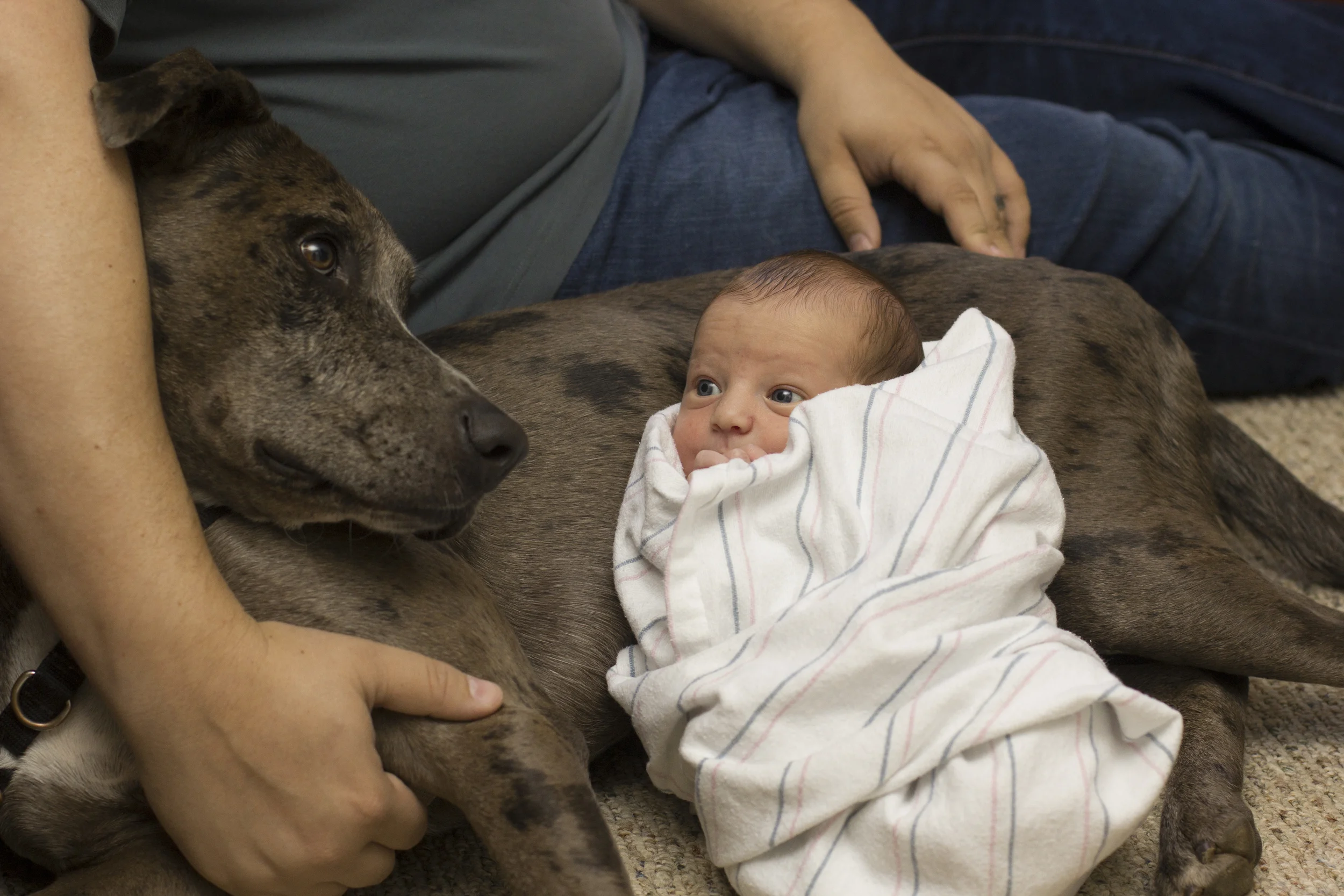 Baby and Dog