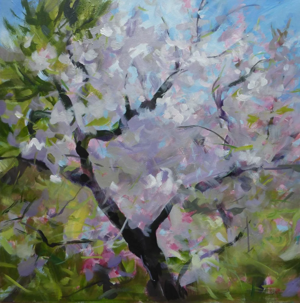 Spring's Embrace 24x24.JPG