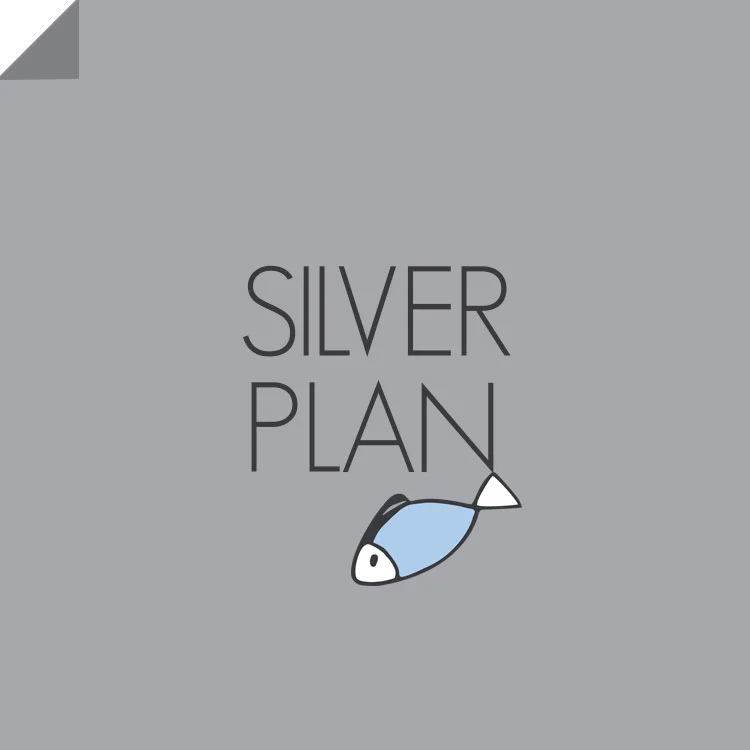 SILVER-PLAN.jpg