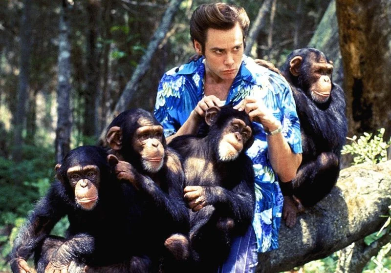 Ace Ventura Monkeys.jpg