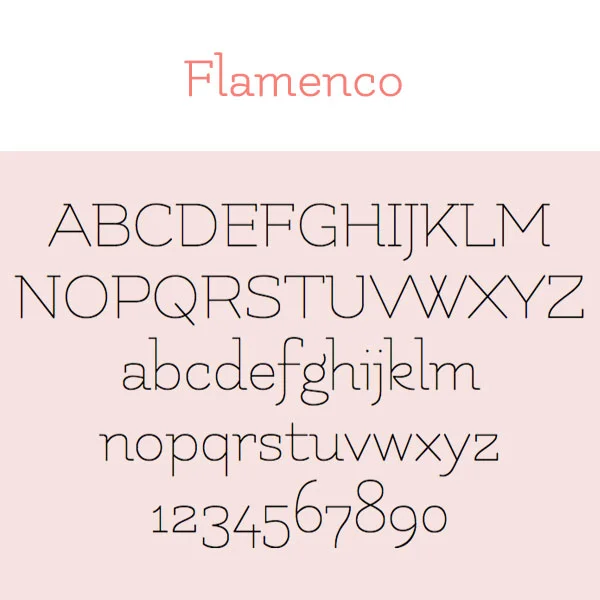 Flamenco.jpg