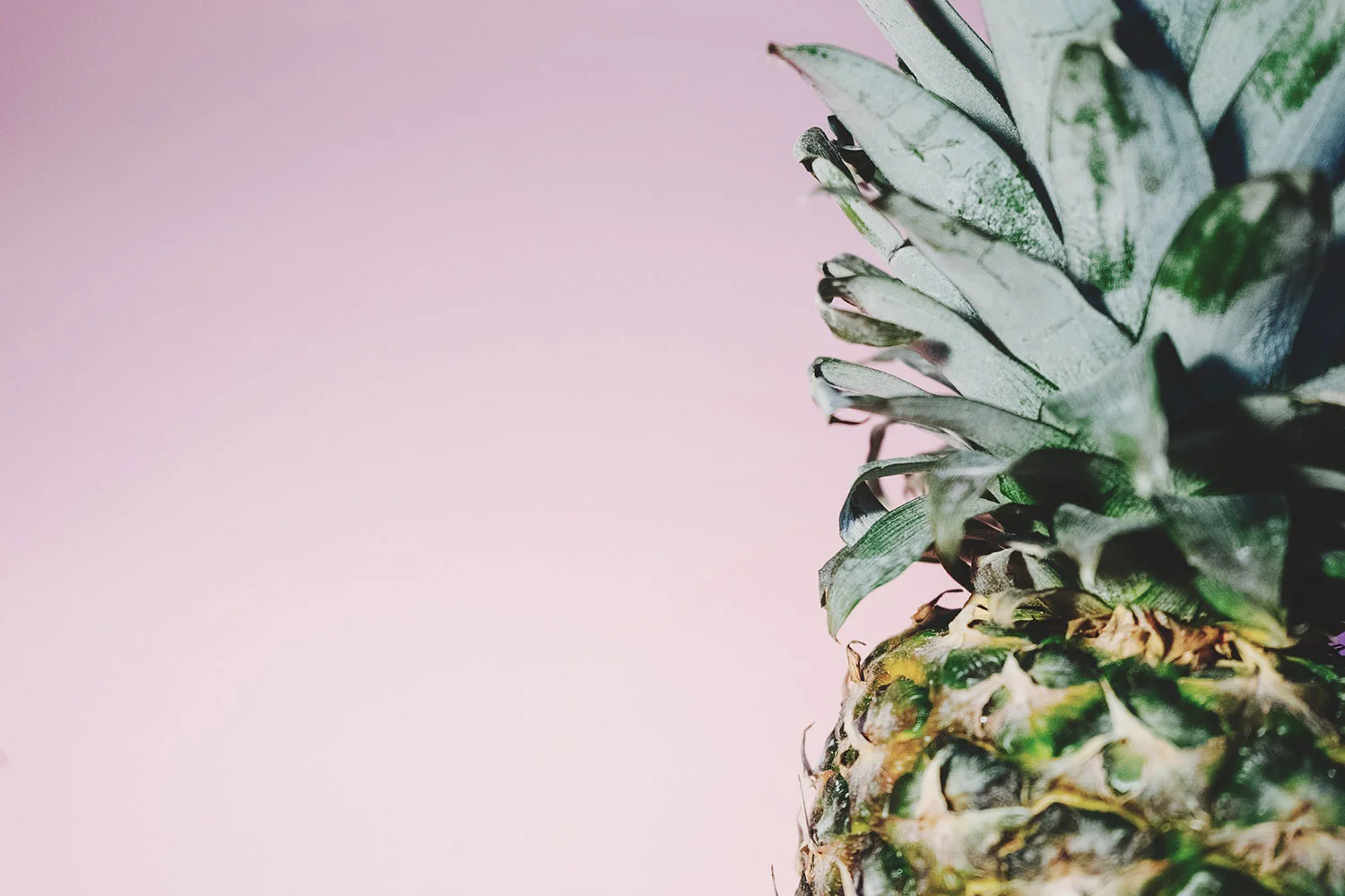 pineapple-pink-background.jpg