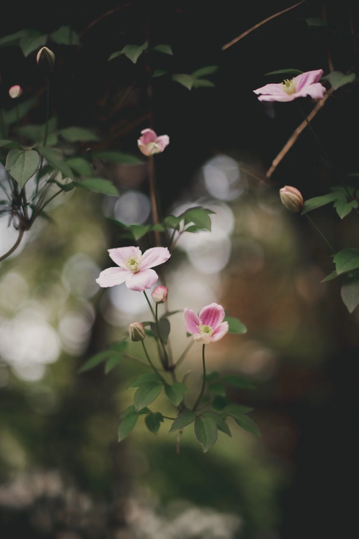 REBECCAAMBERPHOTOGRAPHY-124.jpg