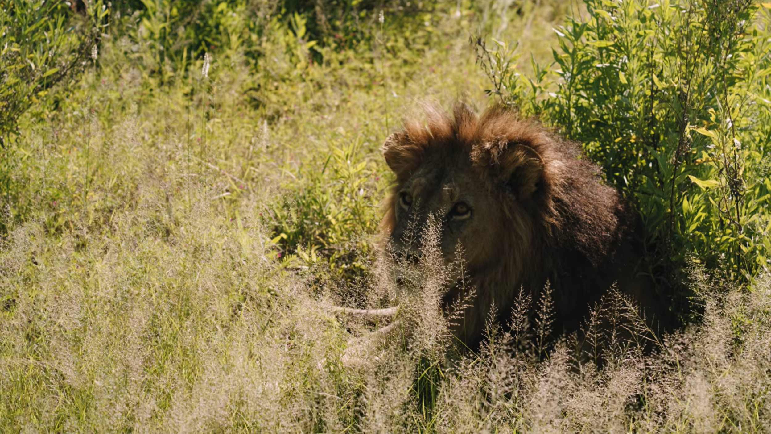 The Making Of SI Swimsuit: Botswana | Sports Illustrated Swimsuit