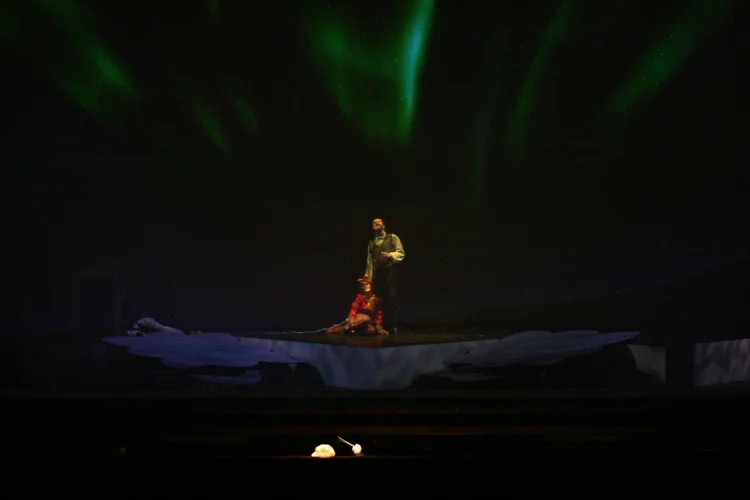 Cunning Little Vixen