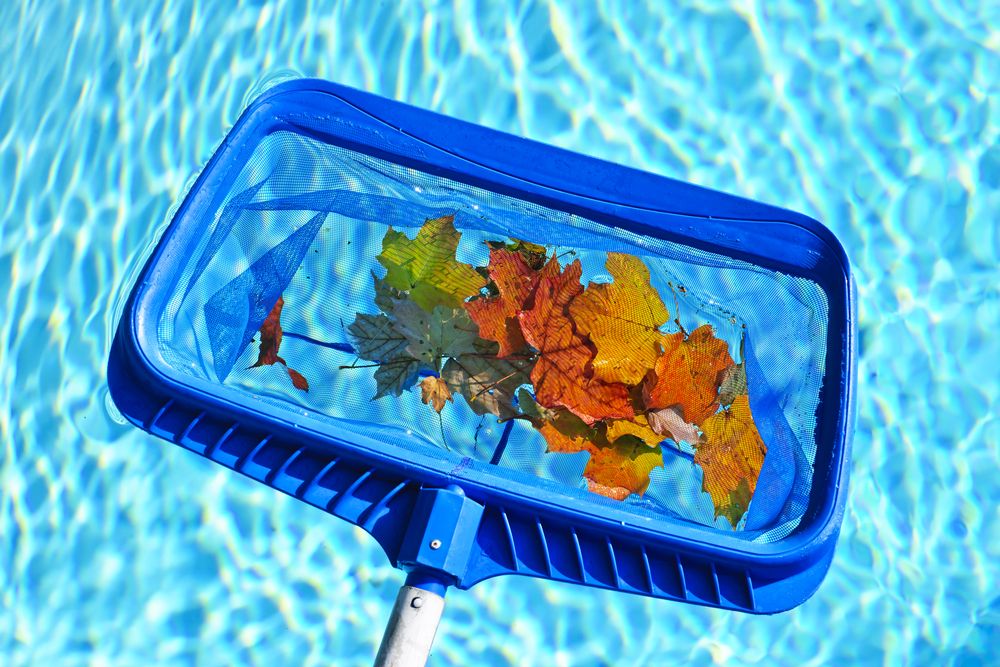 Pool Cleaning Reliable Pool Care Pool Service Maintenance Austin Tx