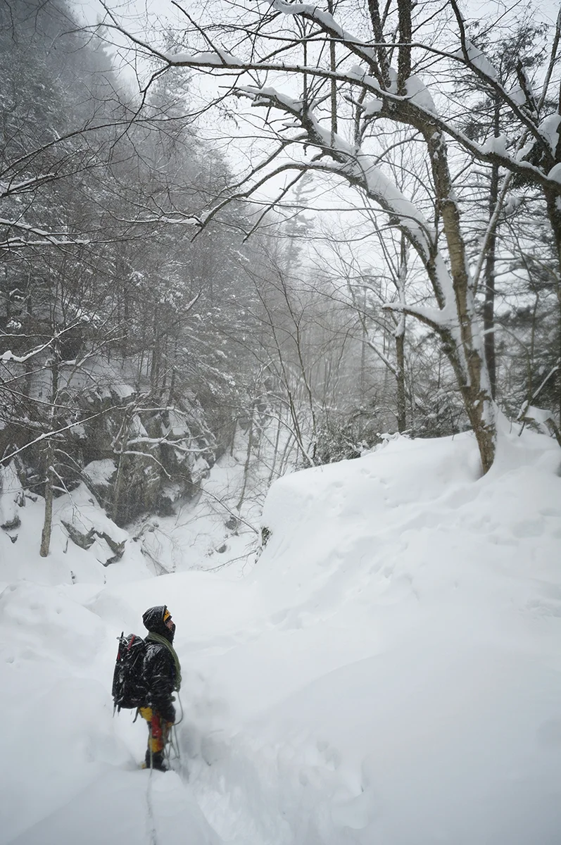 Catskills, NY
