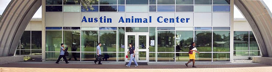 Austin Animal Shelter