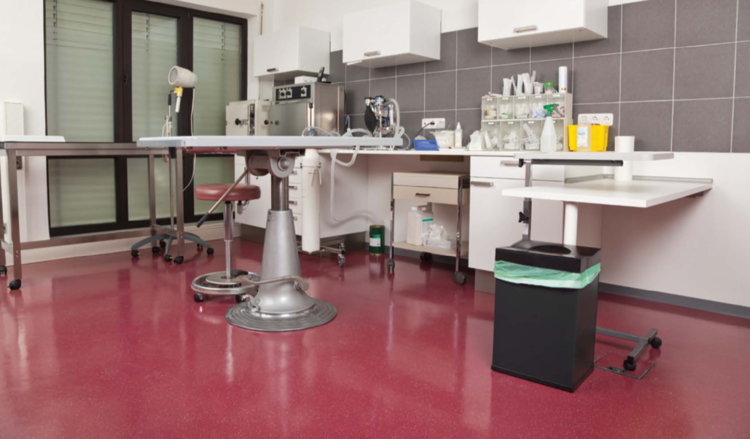 Animal and Veterinary Flooring Systems