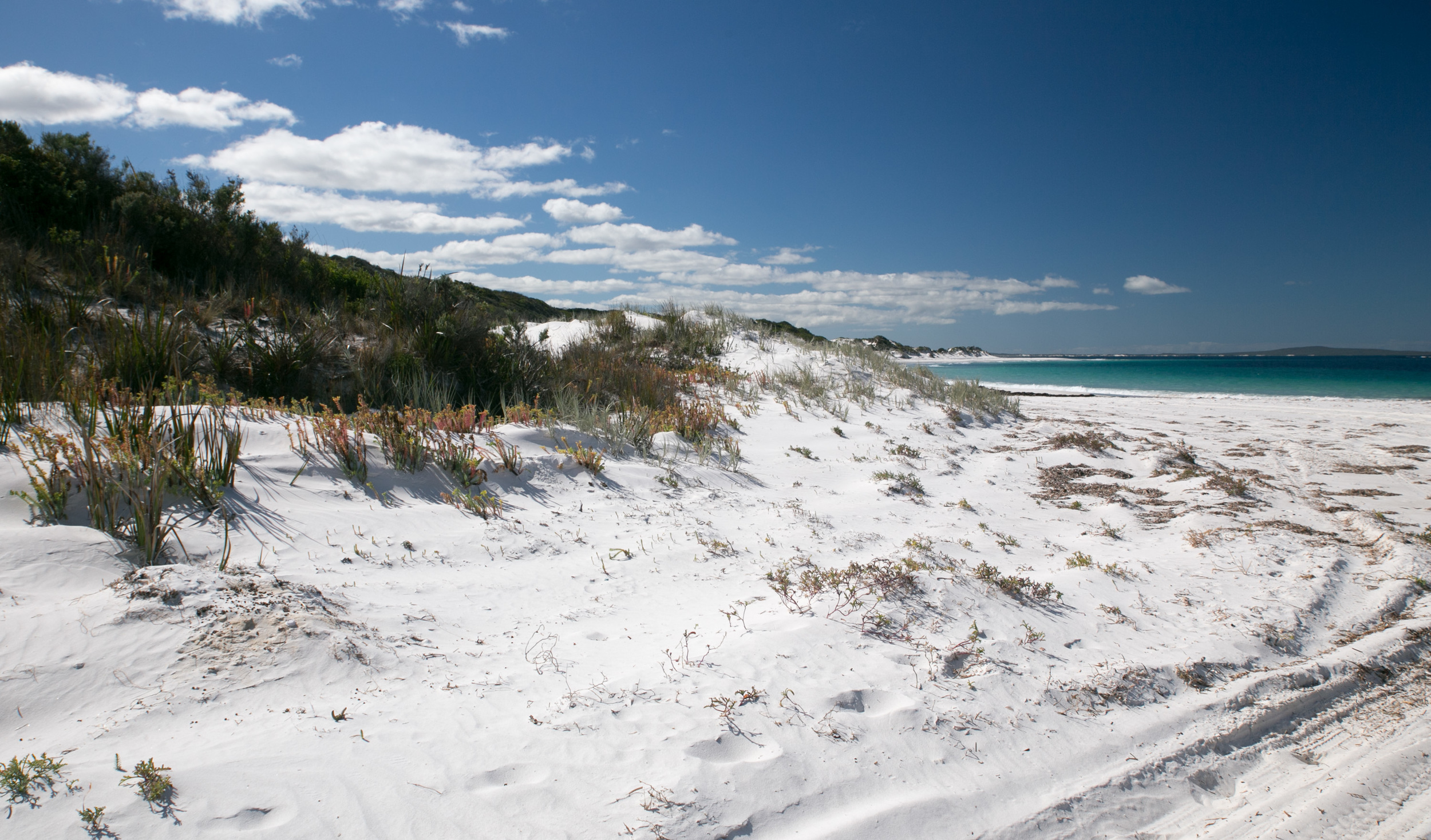 Cape Arid N.P.