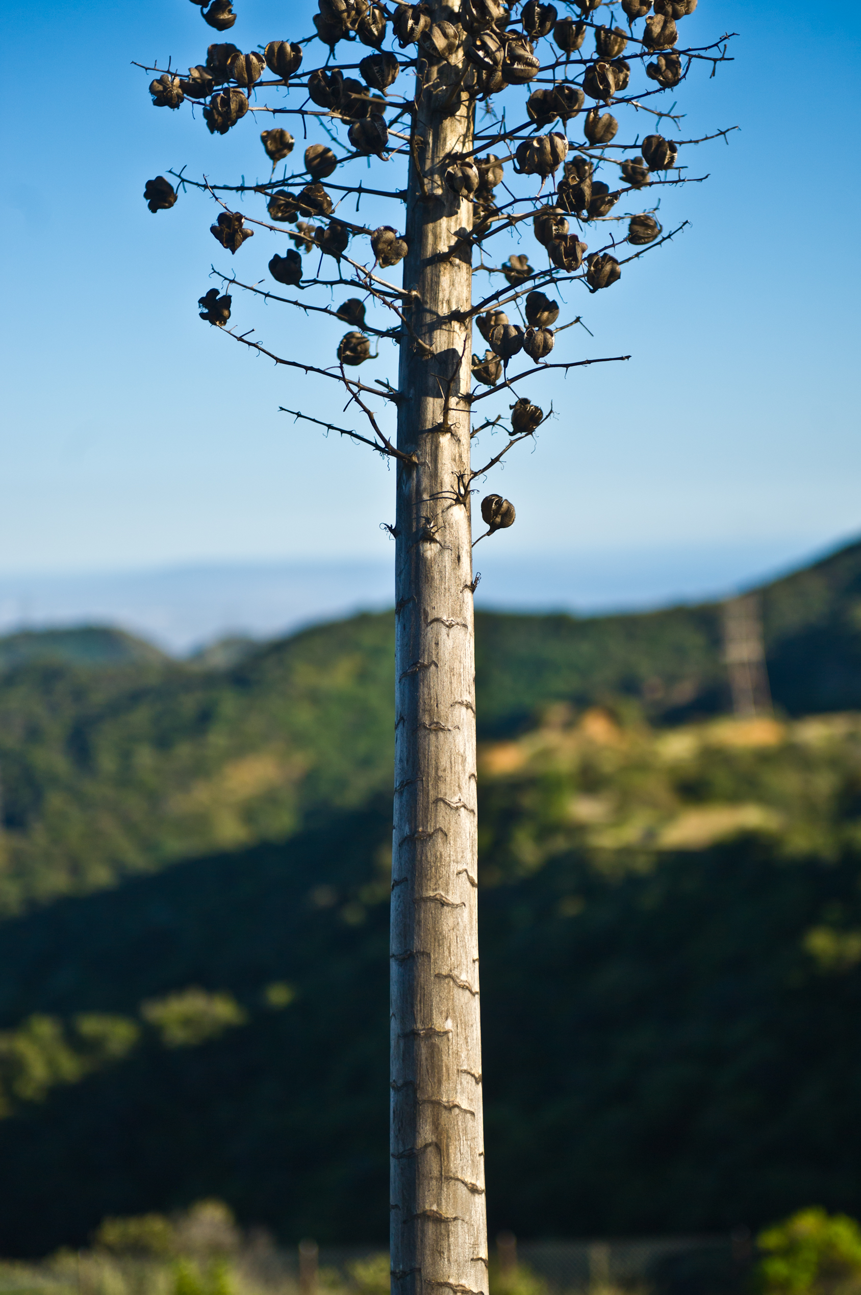 RJB_portfolio-109.jpg