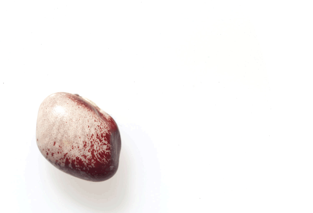 Are Heirloom Beans Nonsense? (National Geographic's The Plate)