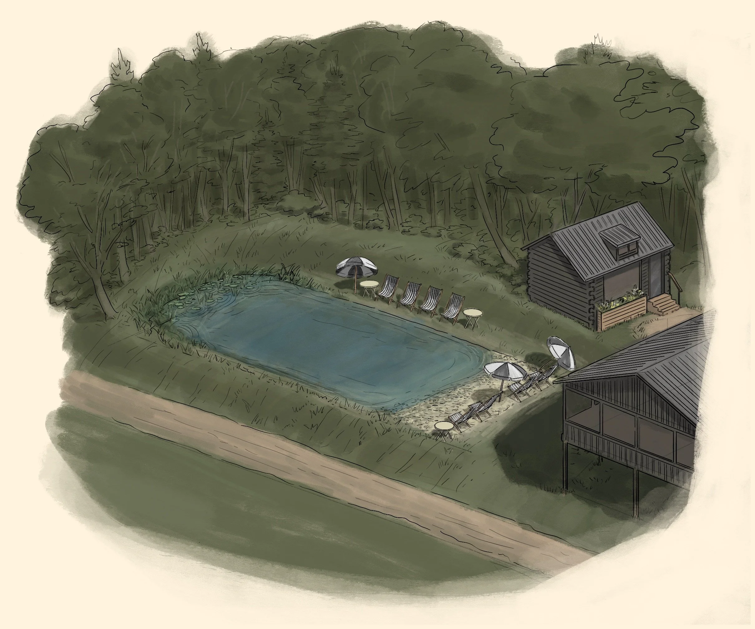 Dispatch from the Ranch: Biodynamic Natural Pond Coming for our 2026 Season!